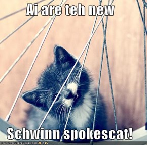 Ai are teh new   Schwinn spokescat!
