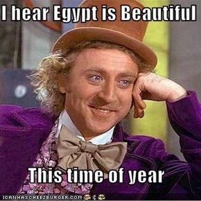 I hear Egypt is Beautiful   This time of year