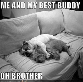 ME AND MY BEST BUDDY  OH BROTHER