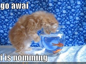 go awai  i is nomming