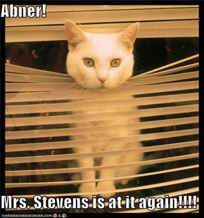 Abner!  Mrs. Stevens is at it again!!!!