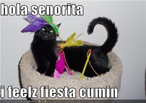 hola senorita  i feelz fiesta cumin