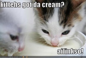 kittehs got da cream?  aifinkso!