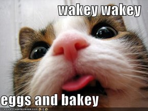 wakey wakey  eggs and bakey