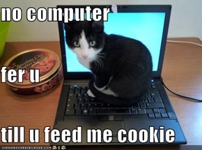 no computer fer u till u feed me cookie