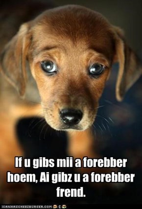 If u gibs mii a forebber hoem, Ai gibz u a forebber frend.