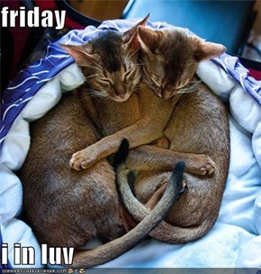 friday  i in luv