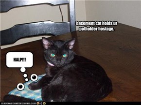 basement cat holds ur potholder hostage.