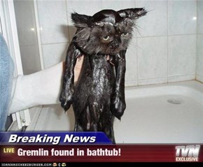 Breaking News - Gremlin found in bathtub!
