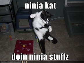 ninja kat  doin ninja stuffz