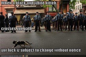 When a black and white kitteh  crosses yur path  yur luck iz subject tu change without notice