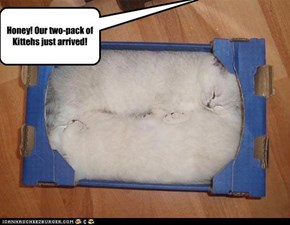 Honey! Our two-pack of Kittehs just arrived!
