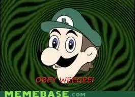 This is stu...OBEY WEEGEE!