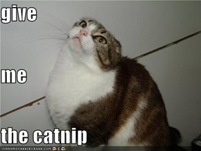 give me  the catnip