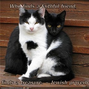 Who finds a faithful friend,     finds a treasure. - Jewish proverb