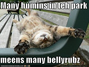 Many humins in teh park  meens many bellyrubz