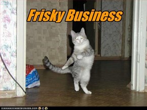 Frisky Business