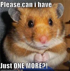 Please,can i have   Just ONE MORE?!