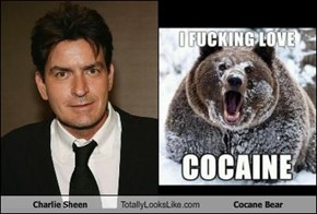 Charlie Sheen Totally Looks Like Cocane Bear