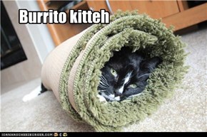 Burrito kitteh