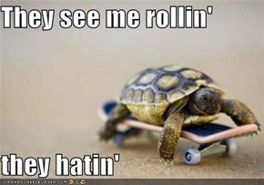 They see me rollin'  they hatin'