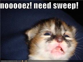 nooooez! need sweep!