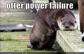 otter power failure