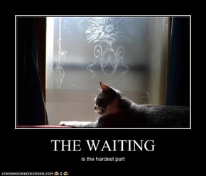 THE WAITING