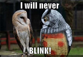 I will never  BLINK!