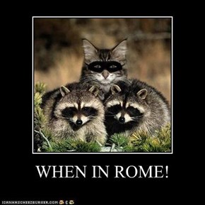 WHEN IN ROME!