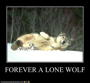 FOREVER A LONE WOLF