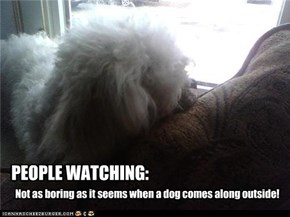 PEOPLE WATCHING: