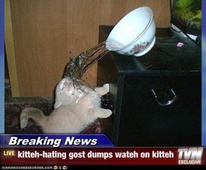 Breaking News - kitteh-hating gost dumps wateh on kitteh