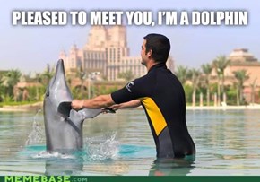 Pleased to meet you!