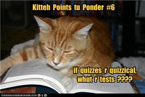 Kitteh  Points  tu  Ponder  #6
