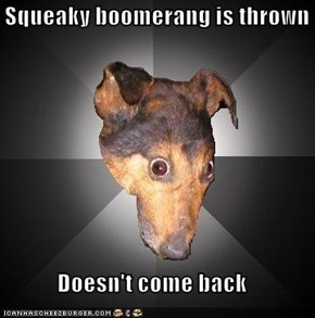 Squeaky boomerang is thrown  Doesn't come back