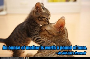 An ounce of mother is worth a pound of tuna.