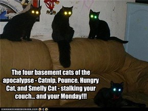 The Four Basement Cats of the Apocalypse!
