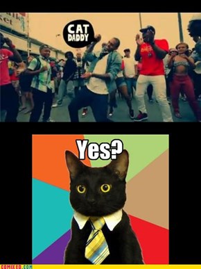 CAT DAAAAAAAAAAAAADYYY!