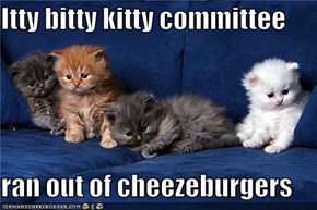 Itty bitty kitty committee  ran out of cheezeburgers