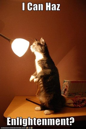 I Can Haz  Enlightenment?