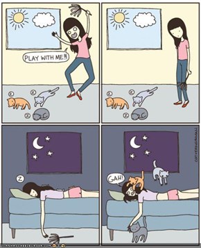 Kitteh Komic of teh Day: Hoomin Playtime vs. Kitteh Playtime