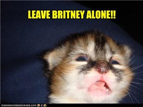 LEAVE BRITNEY ALONE!!