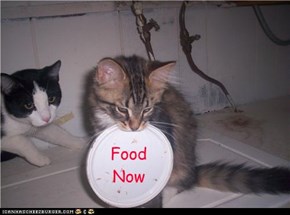 Food  Now