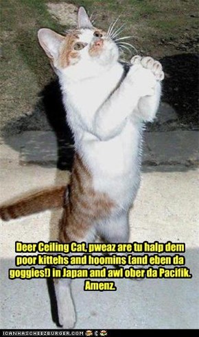 Deer Ceiling Cat, pweaz are tu halp dem poor kittehs and hoomins (and eben da goggies!) in Japan and awl ober da Pacifik. Amenz.