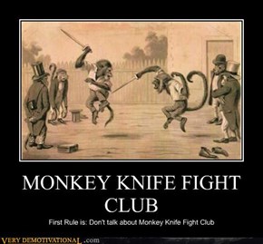 MONKEY KNIFE FIGHT CLUB