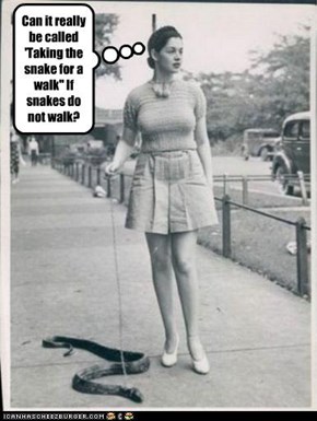 Can it really be called 'Taking the snake for a walk" If snakes do not walk?