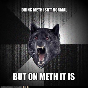 DOING METH ISN'T NORMAL