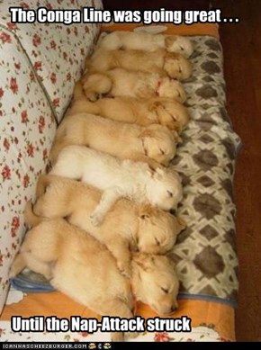 The Conga Line was going great . . .