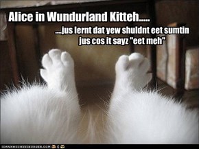 Alice in Wundurland Kitteh.....